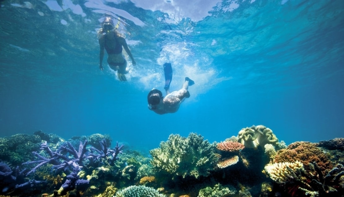 1110 x 635      -great-barrier-reef_snorke.jpg