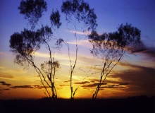 australia_outback