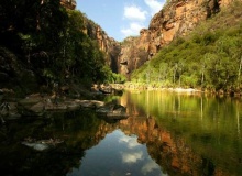 Kakadu