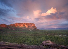 Kakadu