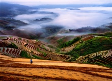 china_fields