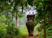 elephant_ride
