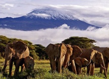 zanzibar_scenery