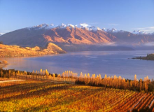 wine_region