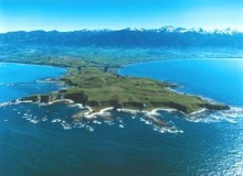 kaikoura_new_zealand