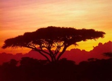 tanzania_sunset