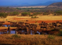 serengeti_national_park