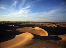 oasis