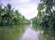 cochin_india