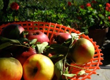fruit_italy