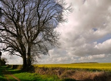 english_countryside