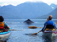 kayak_vancouver