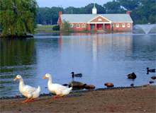 new_bedford_usa