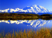 denali_national_park