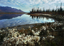 alaska
