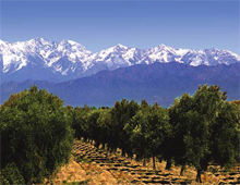 mendoza_argentina