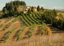 chianti_italy