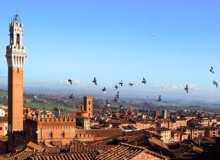 siena_italy