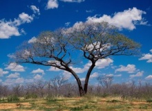 shakawe-botswana