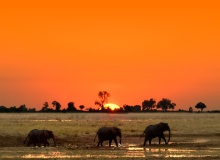 CHOVE, BOTSWANA