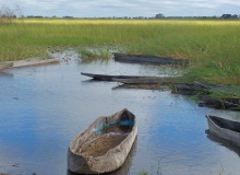 Okavango Delta, Botswana