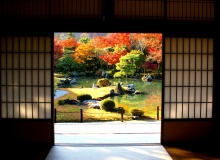 JAPANESE GARDEN