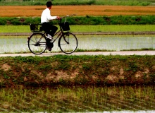 AICHI-FISHING