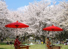 TOKYO-SPRING CONCERT
