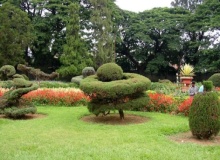 cubbon park