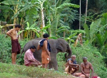 Kerala_India
