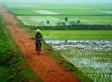 VIETNAM-FARMS