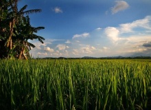 hoi_an_vietnam
