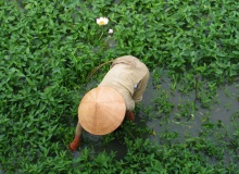 HUE-FARMER