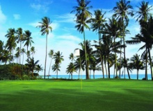 banyon_tree_bintan_