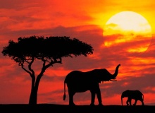 kenya