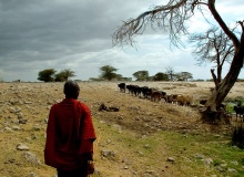 KENYA-Massaï