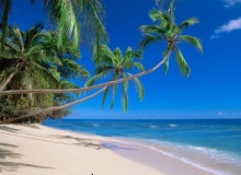 fiji