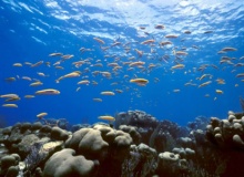 mamanuca_islands_fiji