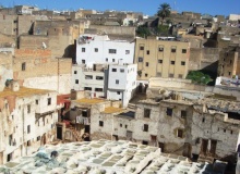 FES-tanneries