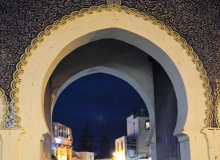 FES-BLUE GATE