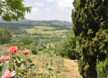 Colle Di Val D'elsa 