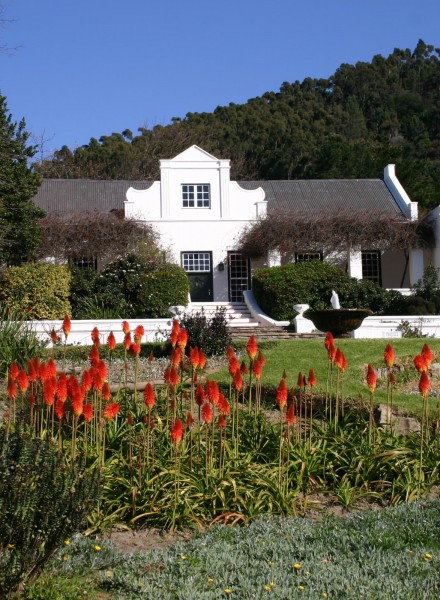 cape_wine