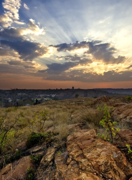 JOHANNESBURG-Melville Koppies Nature Reserve- JO'B