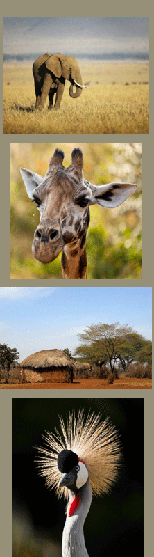 Family holiday safari in Kenya with Concierge Traveller Family holiday safari in Kenya with Concierge Traveller