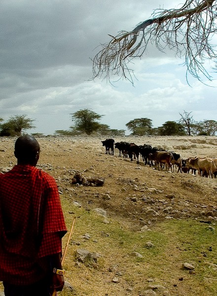 KENYA-Massaï