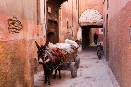 Holiday in Morocco - Donekys in Marrakesh alley