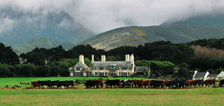Wharekauhau Lodge & Country Estate, New Zealand holiday