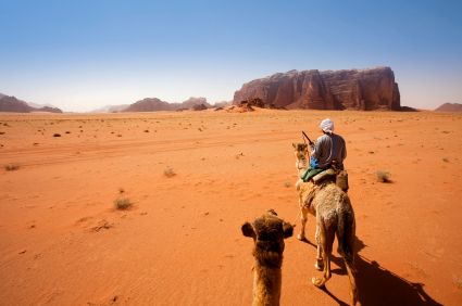 Enjoy a private tour of Jordan