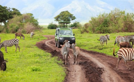 Game drive in Tanzania