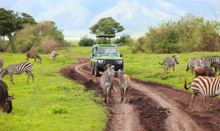 Game drive in Tanzania